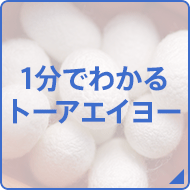1分でわかるトーアエイヨー